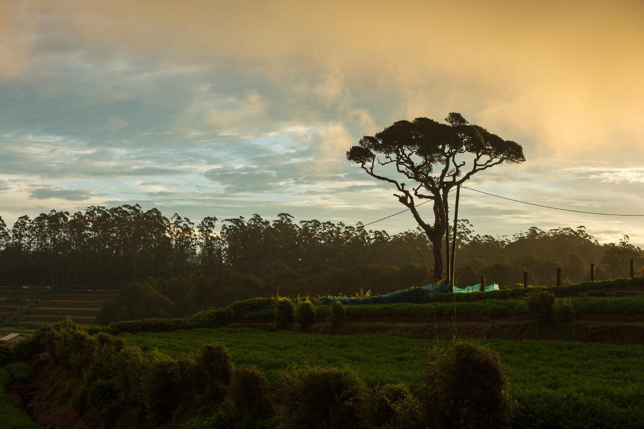 Grand Camellia Hotel Nuwara Eliya Zewnętrze zdjęcie